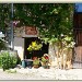 Le charme des vieilles fermes